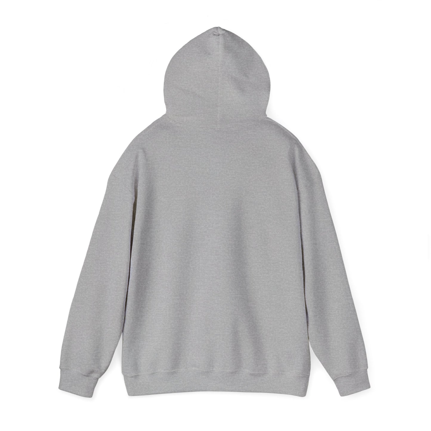 Bicycle Bear Hoodie